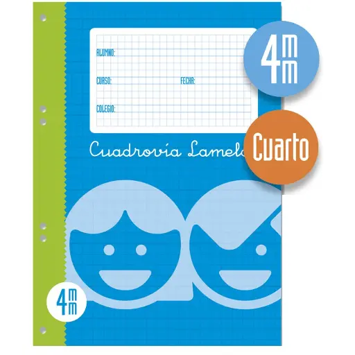 RECAMBIO 100H 4º 70GR CUADROVÍA CON MARGEN 4 TALADROS - LAMELA -