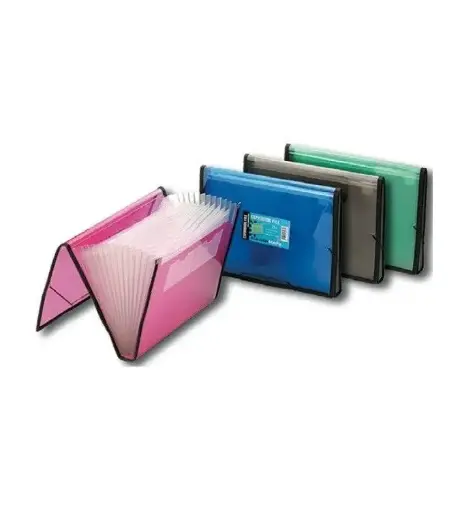 CARPETA FUELLE RIBETE 13 COMPARTIMENTOS - DHP